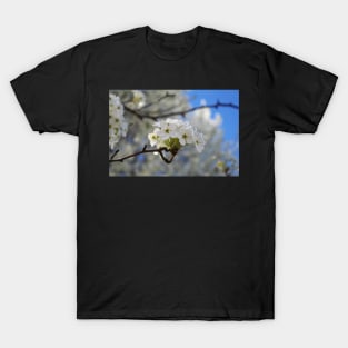 Flowering Tree in Spring T-Shirt